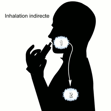 Type de vapotage : inhalation directe et indirecte