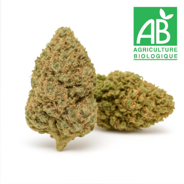 Cannatonic, fleurs de CBD produites en france