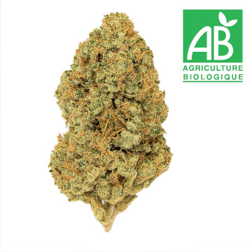 Cannatonic, fleurs de CBD 100% Bio