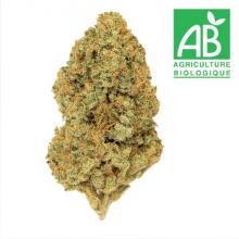 Cannatonic, fleurs de CBD 100% Bio