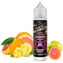 Harambae 50ml : aux saveurs d’agrumes et de goyave.