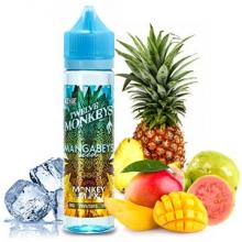 Mangabeys Iced : des fruits tropicaux à la grande fraîcheur 